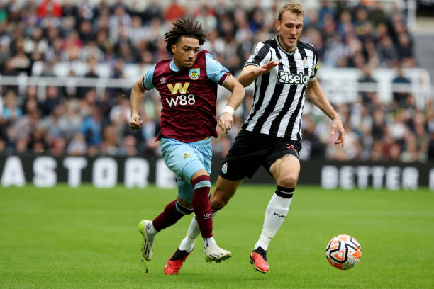 发展中的新 发展中的新