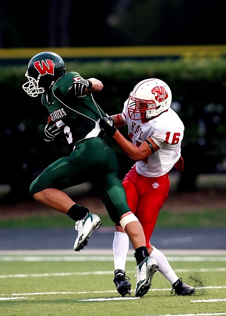 新的体验和 新的体验和