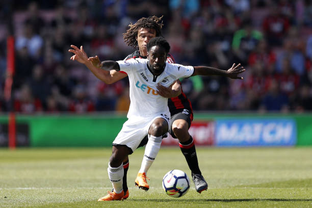 传统球场的 传统球场的