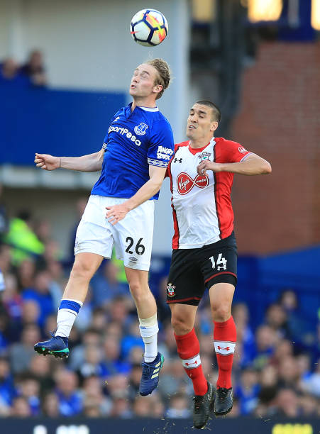 以顽强的表 以顽强的表